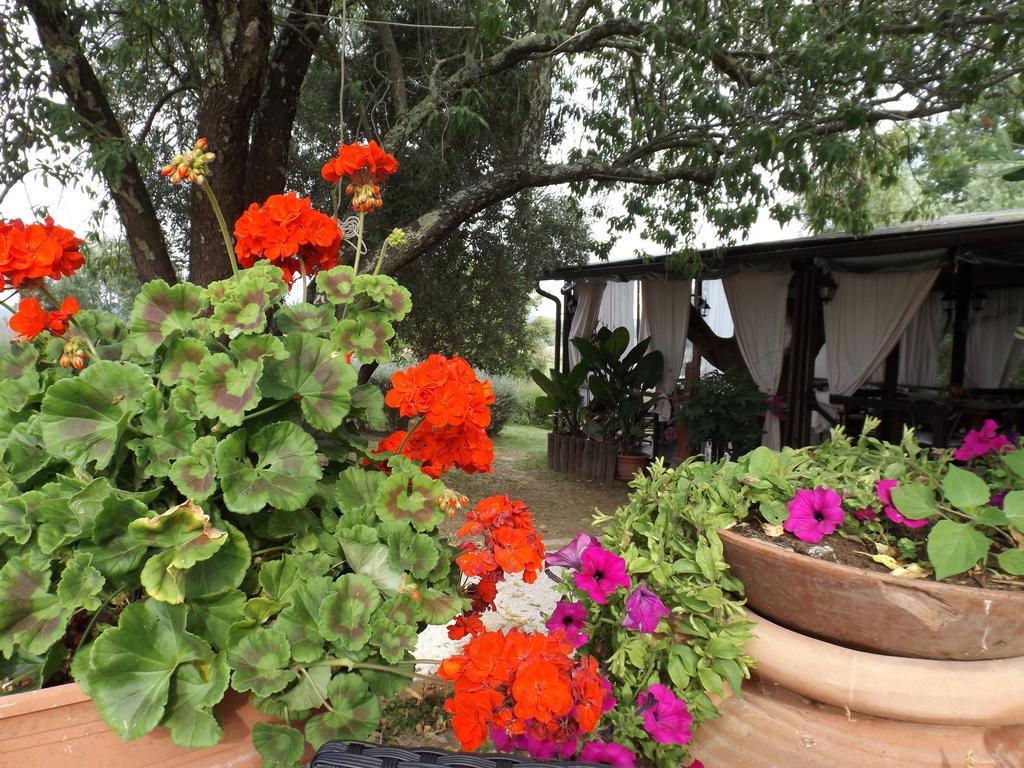 Agriturismo San Giacomo Pitigliano Cameră foto